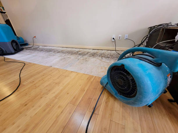 Professional Basement Flood Cleanup technician working in Tunnelton, WV